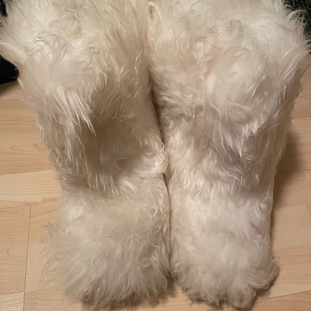 Kookaburra Boots